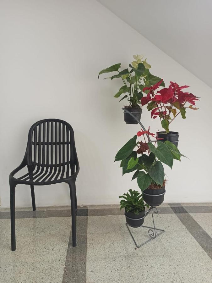Hotel Boutique Estadio 메딜린 외부 사진